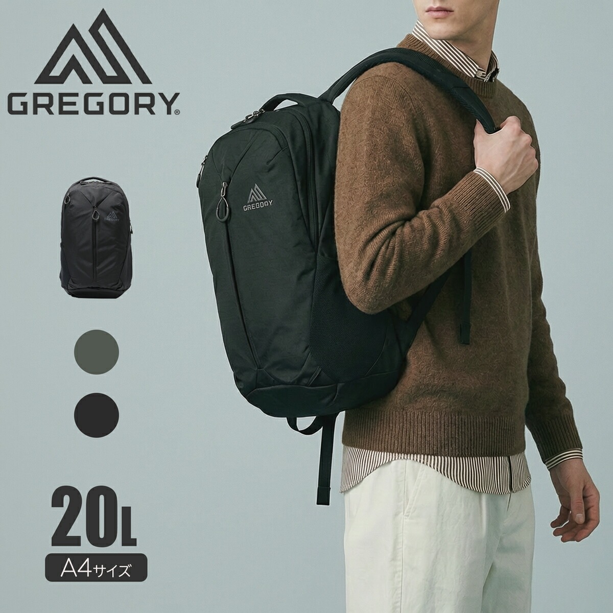 GREGORY グレゴリー リュック A4 メンズ レディース ルーヌ20 バックパック リュックサック デイパック アウトドア 旅行 通気性 カーボンブラック