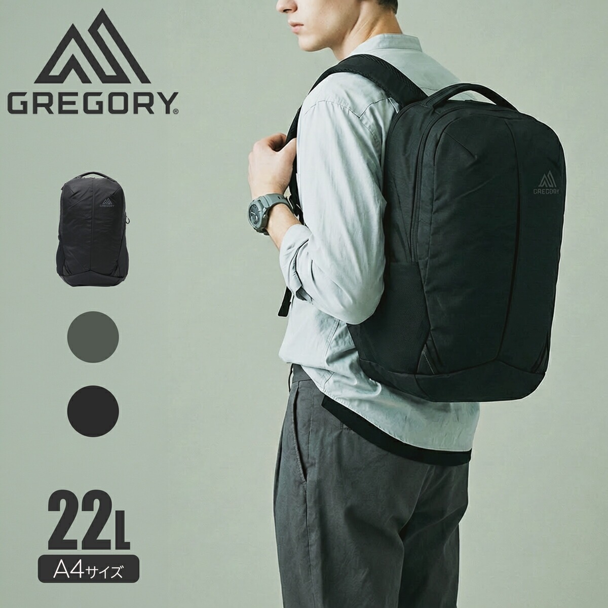 GREGORY グレゴリー リュック B4 メンズ レディース ルーヌ22 バックパック リュックサック デイパック アウトドア 旅行 通気性 カーボンブラック