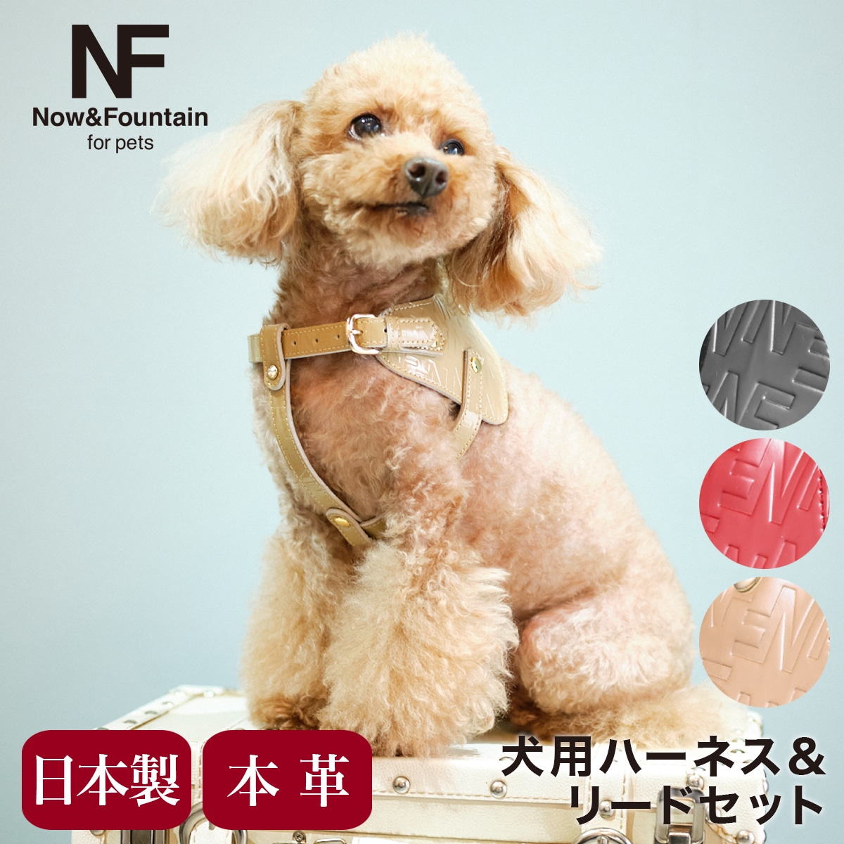 N&F for pets エヌアンドエフ ペット ハーネス&リードセット TYPE-B ジュエリーエンボス ブラック
