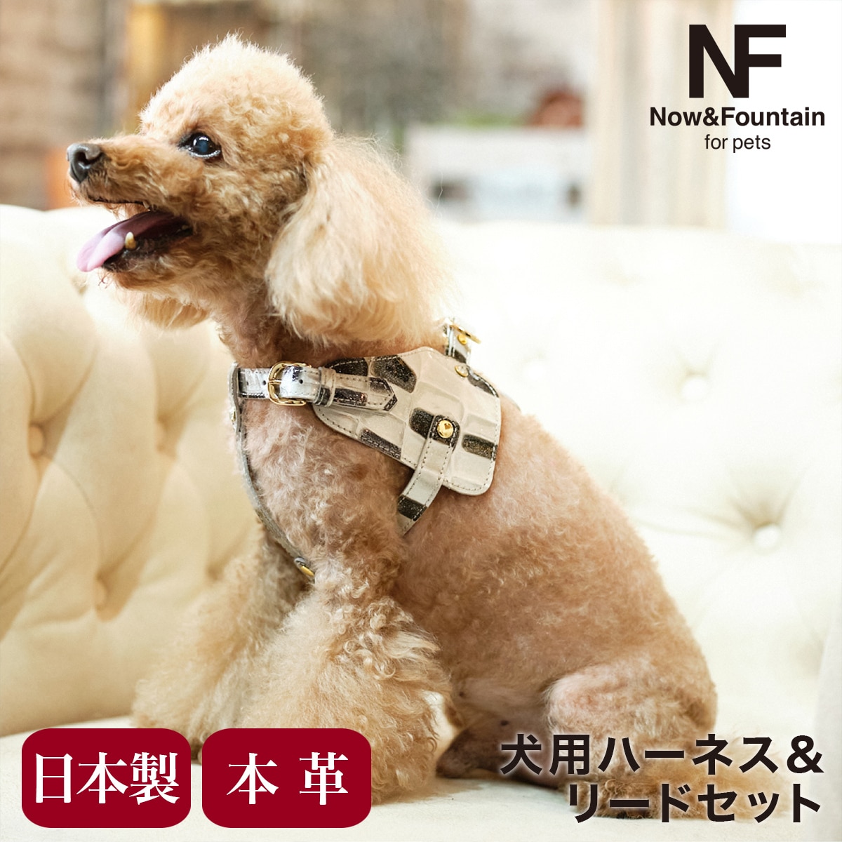 N&F for pets エヌアンドエフ ペット ハーネス&リードセット TYPE-B ジュエリータイル ブラック