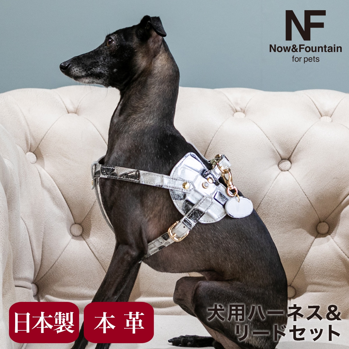 N&F for pets エヌアンドエフ ペット ハーネス&リードセット TYPE-C ジュエリータイル ブラック