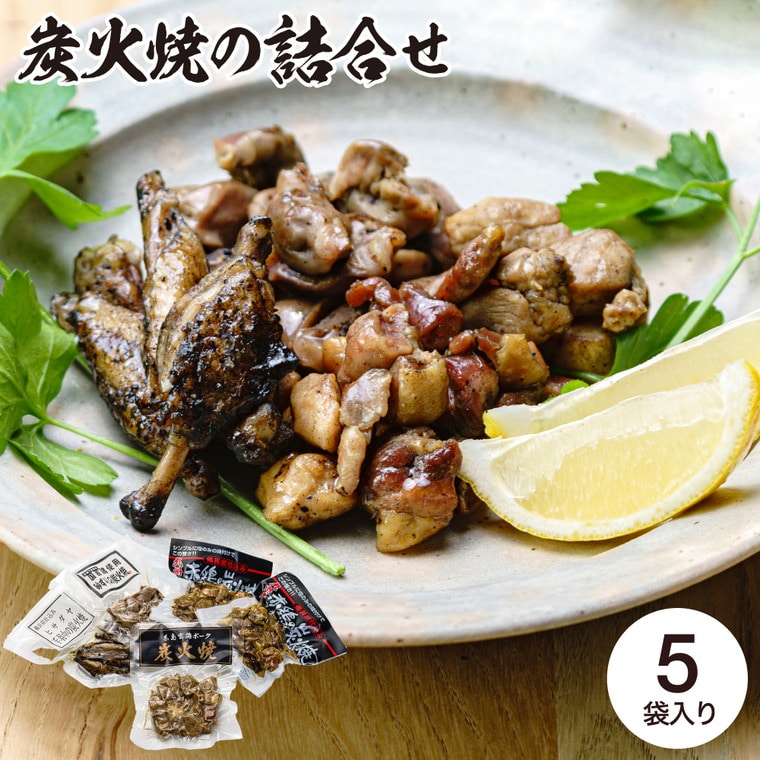 お歳暮 冬ギフト グルメ ヒサダヤ 炭火焼の詰合せ HST-5 メーカー直送 送料無料 冷蔵便 / 御歳暮 お返し 記念日 詰め合わせ お取り寄せグルメ 高級 食品 JGS 惣菜 鶏肉 豚肉 砂肝 手羽中お年賀