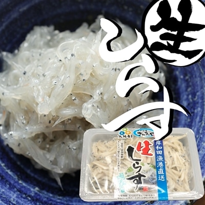 朝獲れ直送 岸和田漁港 生しらす 300g(100g×3パック)