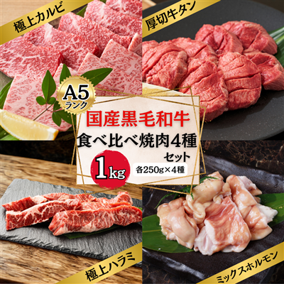 【A5】 国産黒毛和牛 食べ比べ 焼肉 4種セット 1kg  (カルビ・ハラミ・タン・ホルモン 各部位250g) A5 焼肉 BBQ バーベキュー 国産 黒毛和牛 牛肉 宴会