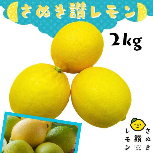 さぬき讃レモン 約2kg L~3L サイズ 香川 レモン 果物 フルーツ 産直 瀬戸内 柑橘