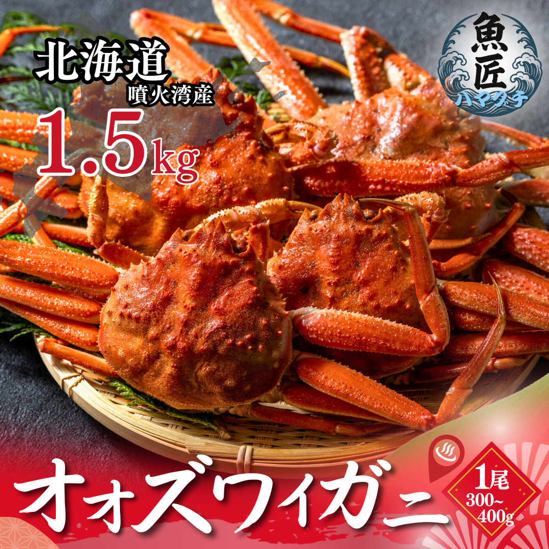 【北海道産】 オオズワイガニ 1.5kg 姿 ボイル （3-6尾） ギフト 贈答用 北海道産 北海道 カニ 蟹 ズワイガニ
