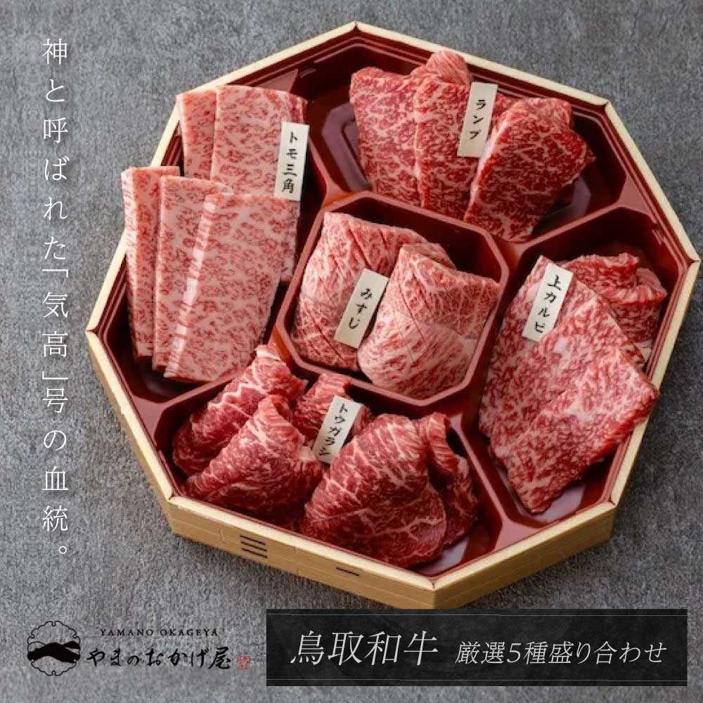 【希少部位5種 焼肉セット】鳥取和牛 500g 　ギフト 贈答 和牛 牛肉 焼肉