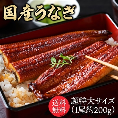 ＜3個購入で1尾無料プレゼント＞ 特大国産うなぎ200g×1尾