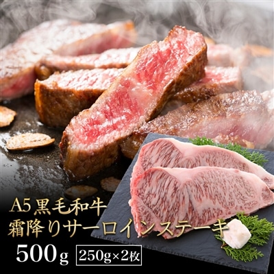 黒毛和牛 A5ランク サーロインステーキ 500g （250g×2枚）