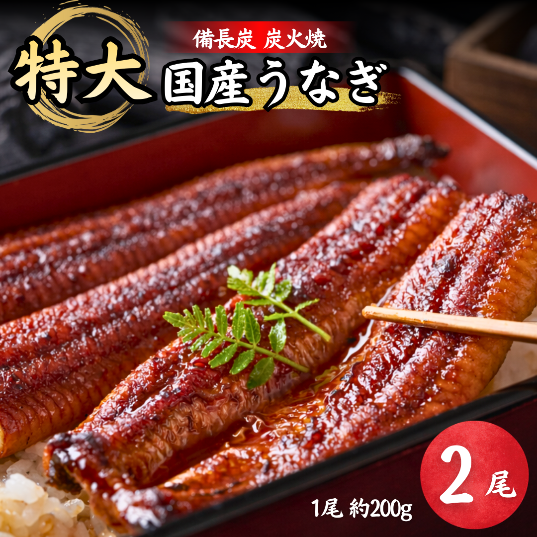 【国産】特大うなぎの蒲焼き 2尾 約400g　 鰻 ウナギ うなぎ 国産 特大 蒲焼き ギフト 贈答 丑の日 父の日