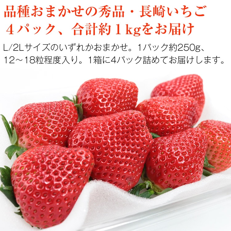 長崎いちご 長崎県産 4パック 約1kg (1パック約250g×4) ゆめのか 恋みのり 品種おまかせ 秀品 L/2L イチゴ 苺 冷蔵便 同梱不可  指定日不可