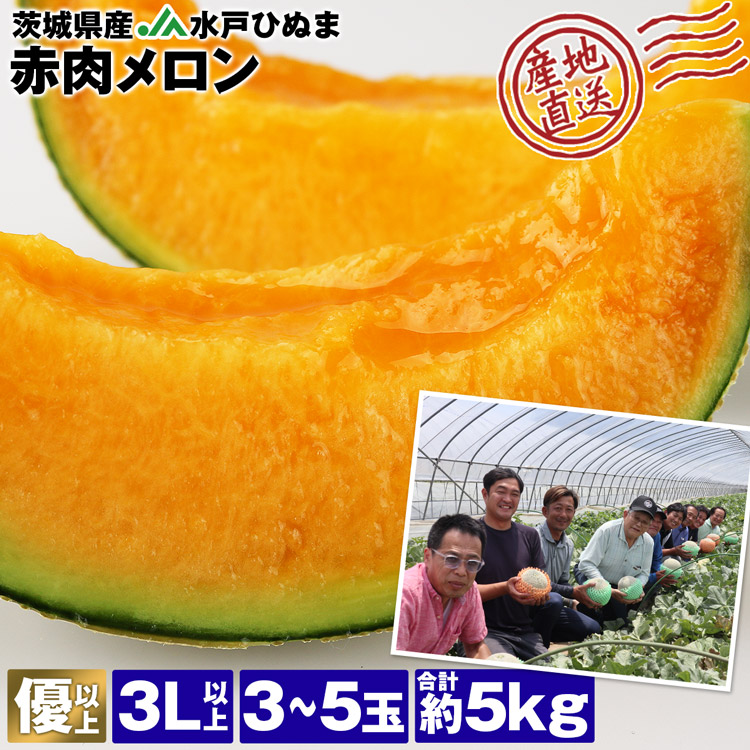 メロン 茨城県産 5kg 3ー5玉 産地直送 優以上 レノンメロン 赤肉メロン 産直 常温便 同梱不可 指定日不可