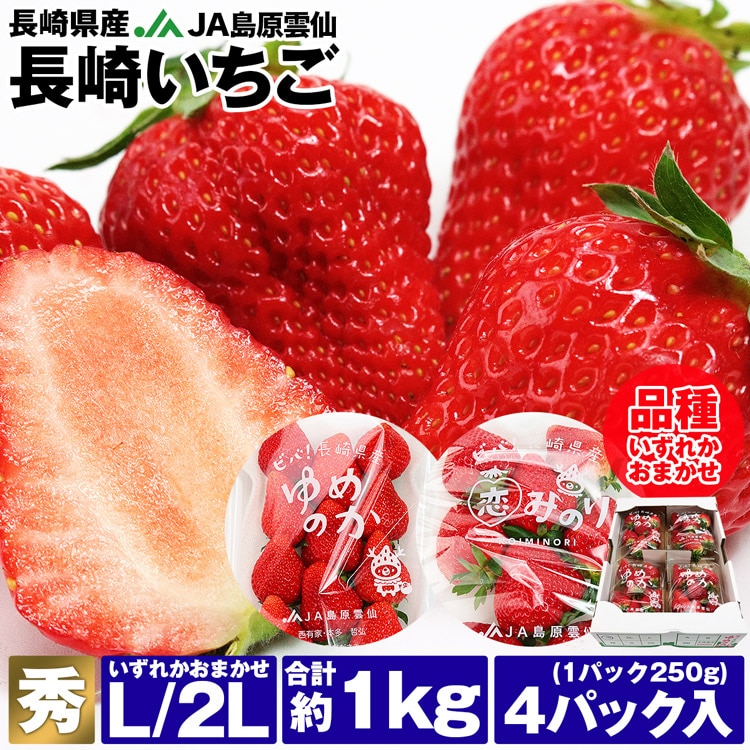 長崎いちご 長崎県産 4パック 約1kg (1パック約250g×4) ゆめのか 恋みのり 品種おまかせ 秀品 L/2L イチゴ 苺 冷蔵便 同梱不可  指定日不可