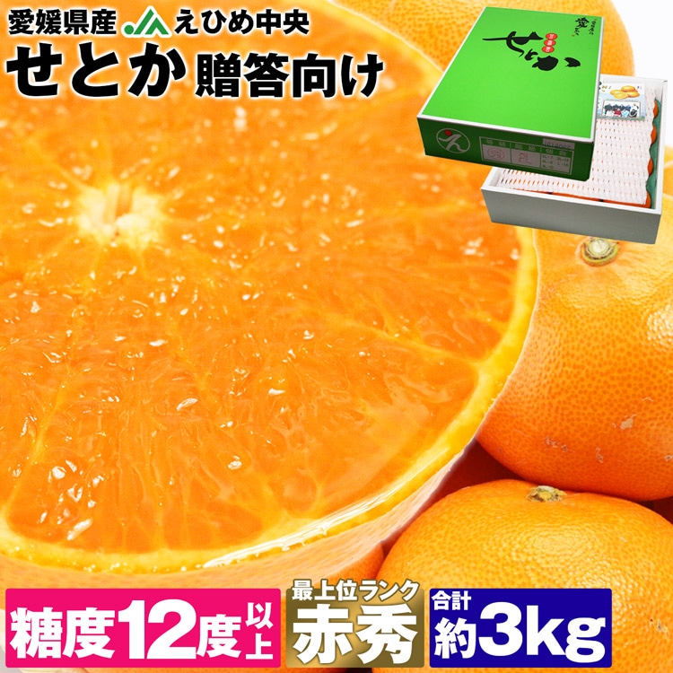 みかん せとか 赤秀 匠と極 4L〜Lサイズ 8〜15玉 3kg 愛媛県 中島産 