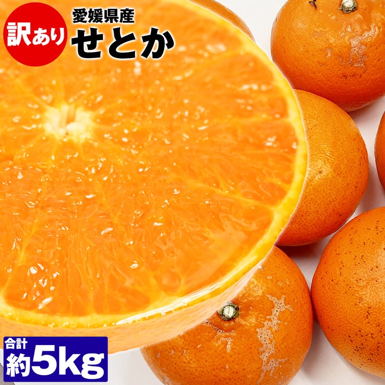 愛媛県産 訳あり せとか 5kg - 果物