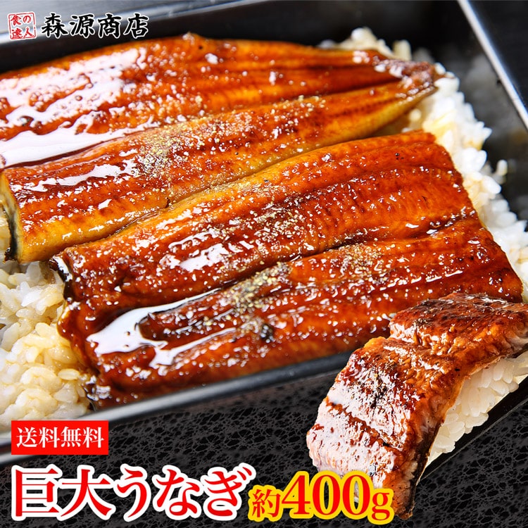 鰻 蒲焼き 約400g前後×1尾