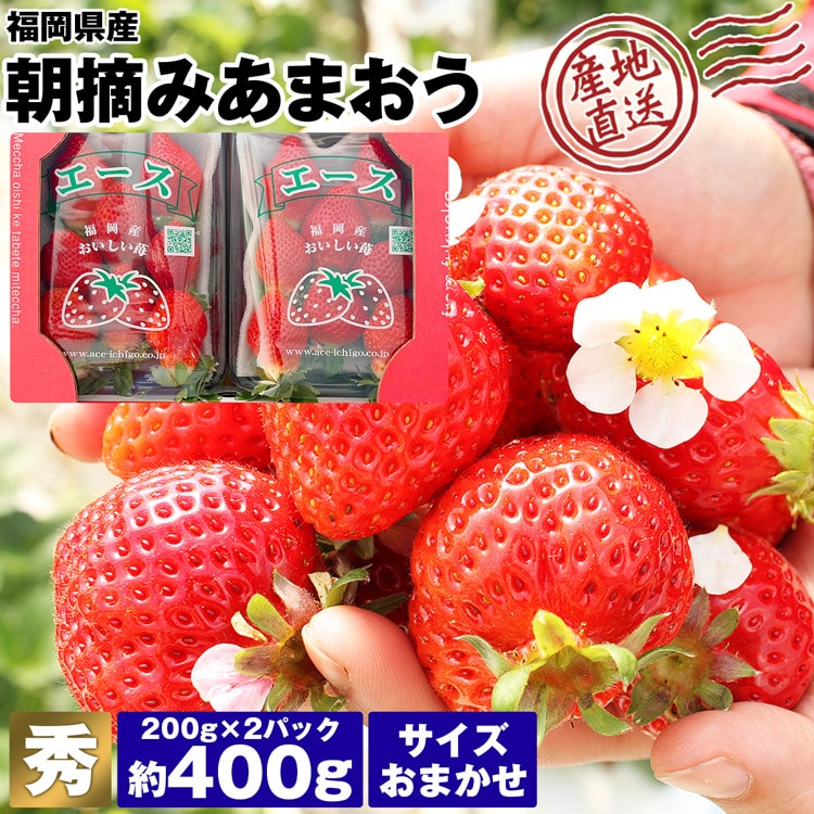 あまおう 400g(200g×2パック) 福岡県産 産地直送 秀品 サイズおまかせ 苺 エースいちご イチゴ 産直 同梱不可 指定日不可