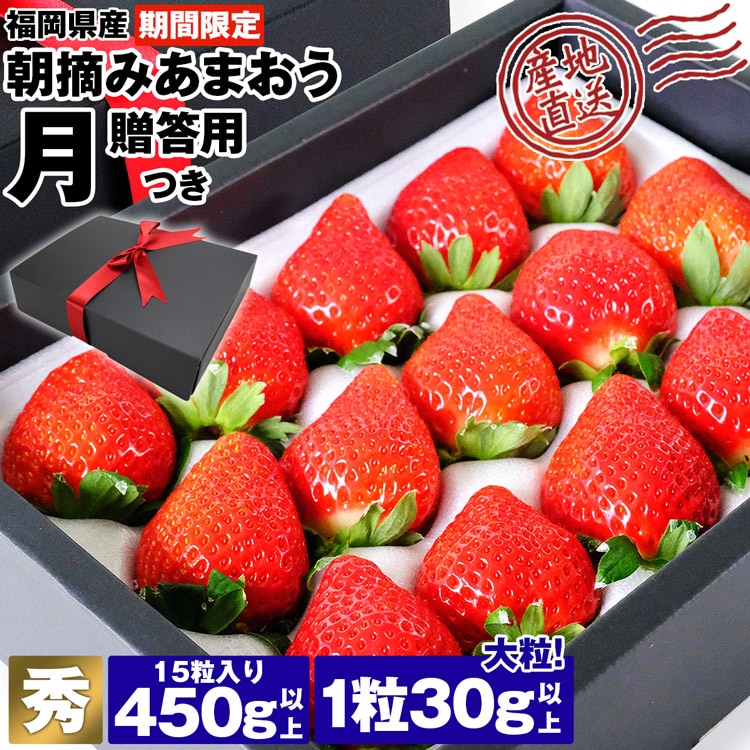 あまおう 大粒 15粒入り 450g以上 月 1粒30g以上 贈答用 化粧箱 ギフト 福岡県産 産地直送 秀品 苺 エースいちご イチゴ 産直 同梱不可 指定日不可
