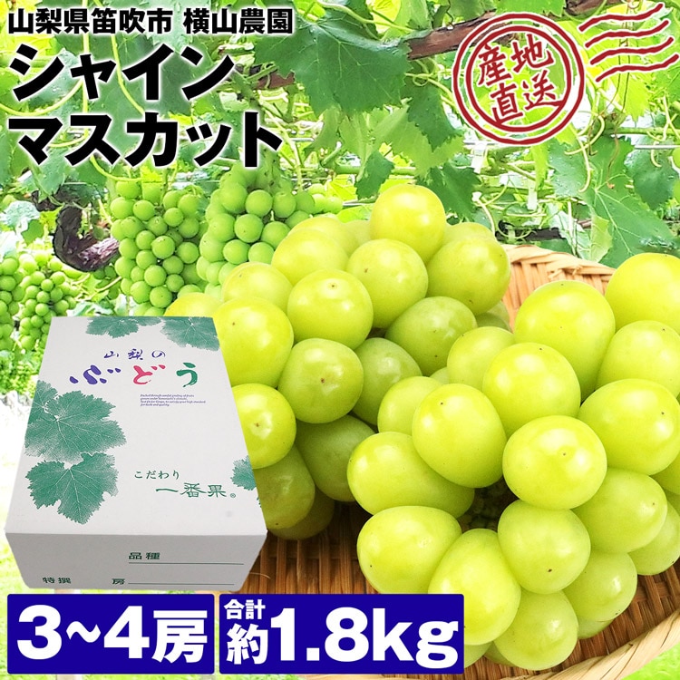 シャインマスカット 山梨県産 3～4房 合計1.8kg以上 高級 大房 白ぶどう ブドウ 葡萄 化粧箱 産直 産地直送 常温便 同梱不可 指定日不可