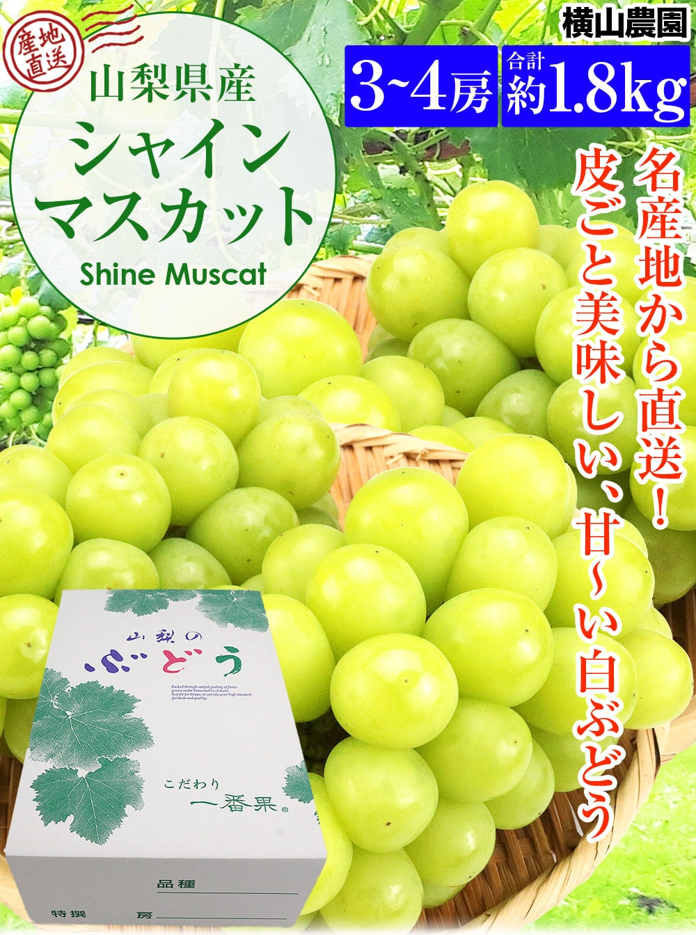 シャインマスカット 山梨県産 3～4房 合計1.8kg以上 高級 大房 白ぶどう ブドウ 葡萄 化粧箱 産直 産地直送 常温便 同梱不可 指定日不可:  食の達人 お取り寄せグルメ｜ANA Mall｜マイルが貯まる・使えるショッピングモール