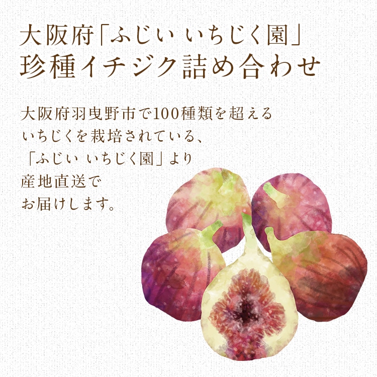 いちじくhanafuku画面 いちじく 2kg 有機JAS認証取得 珍種イチジク 12～20種入り 大阪府産