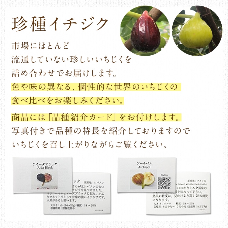 いちじく 2kg 有機JAS認証取得 珍種イチジク 12～20種入り 大阪府産