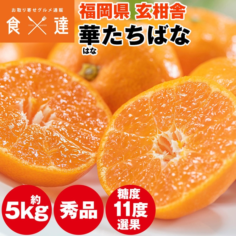 みかん 5kg 糖度11度選果 秀品 福岡県産 華たちばな 蜜柑 ミカン 産直 常温便 同梱不可 指定日不可