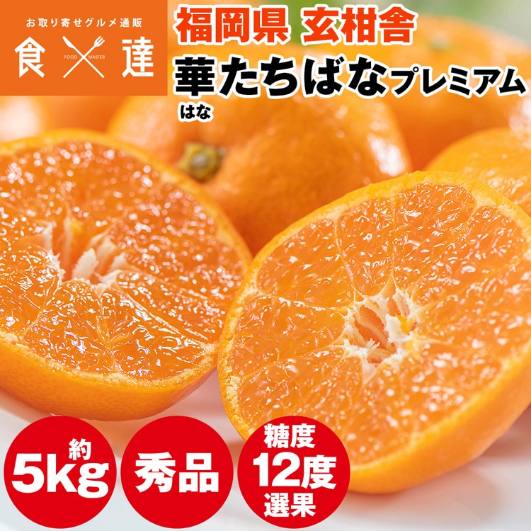 みかん 5kg 糖度12度以上 プレミアム 秀品 福岡県産 華たちばな 蜜柑 ミカン 産直 常温便 同梱不可 指定日不可