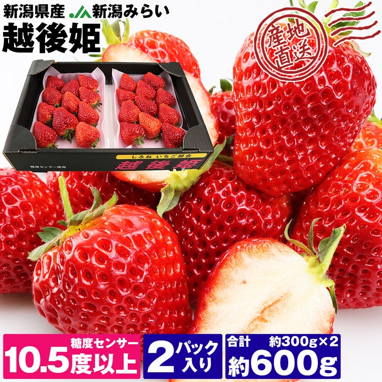 さぬきひめ いちご 1kg 香川県産 軸付き ツル付き 平箱 イチゴ 苺 
