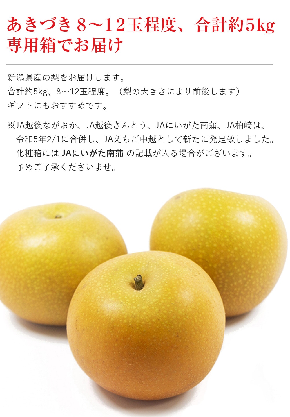 あきづき 梨 5kg 糖度13度 選果 8～12玉程度 秋月 新潟県産 和梨 なし ナシ 産直 常温便 同梱不可 指定日不可