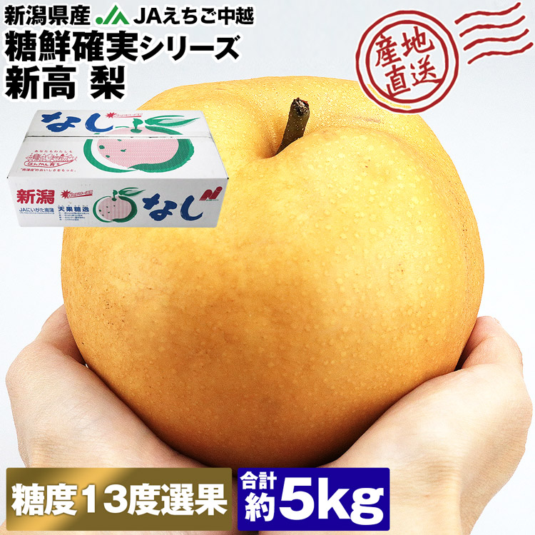 梨 新興 15㎏ バニラさん専用 【公式通販】 梨 新興 15㎏ バニラさん専用 【公式通販】