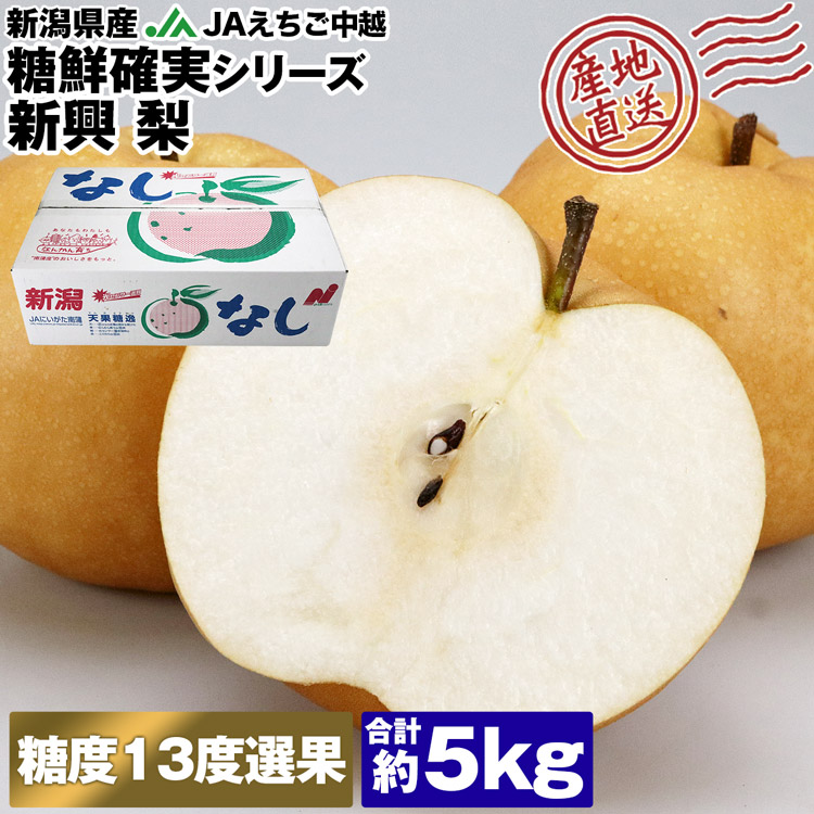 あきづき 梨 5kg 糖度13度 選果 8～12玉程度 秋月 新潟県産 和梨 なし ナシ 産直 常温便 同梱不可 指定日不可: 食の達人  お取り寄せグルメ｜ANA Mall｜マイルが貯まる・使えるショッピングモール