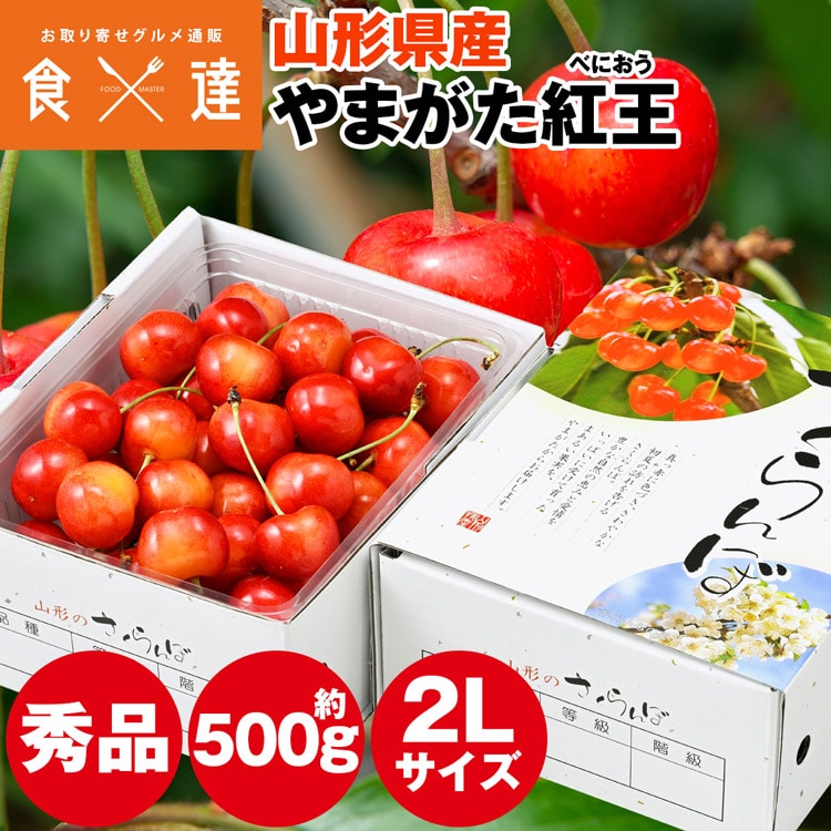 さくらんぼ 500g 大粒 山形県産 やまがた紅王 秀品 2Lサイズ べにおう 贈答 ギフト 贈り物 冷蔵便 同梱不可 指定日不可 産直