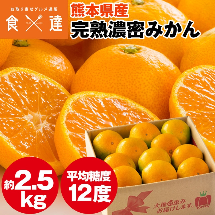 みかん 2.5kg 熊本県産 完熟濃密みかん 温州みかん ミカン 蜜柑 常温便 同梱不可 指定日不可