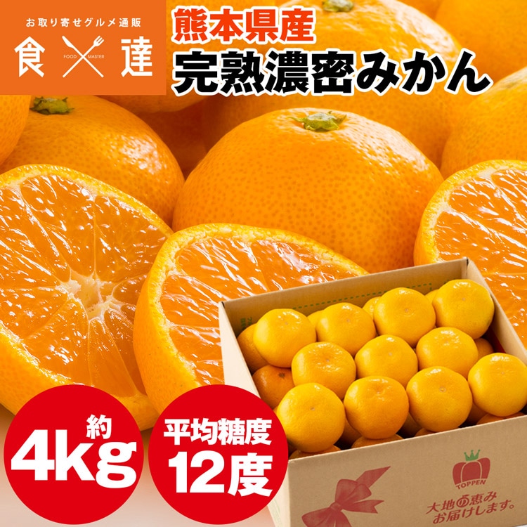 みかん 4kg 熊本県産 完熟濃密みかん 温州みかん ミカン 蜜柑 常温便 同梱不可 指定日不可