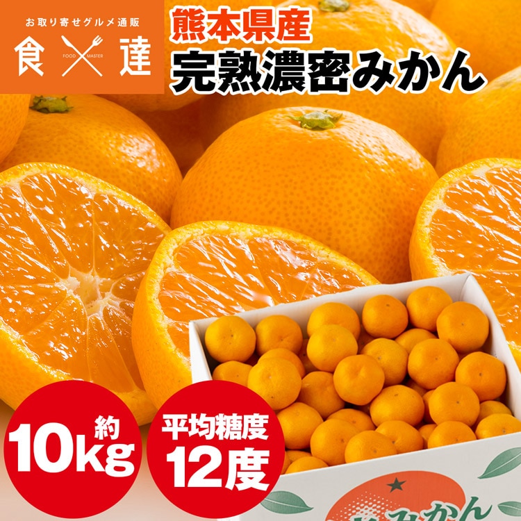 みかん 10kg 熊本県産 完熟濃密みかん 温州みかん ミカン 蜜柑 常温便 同梱不可 指定日不可