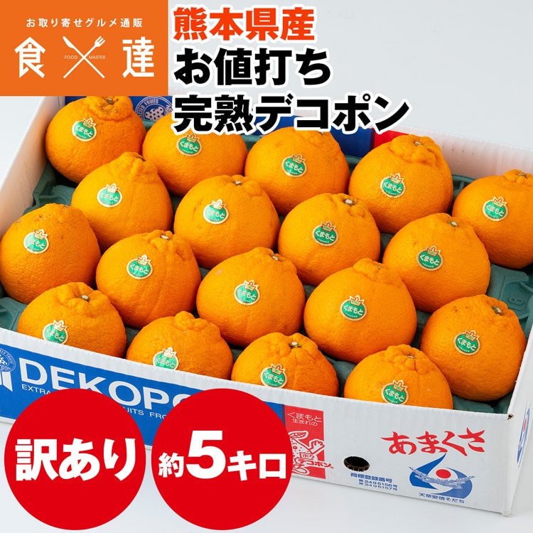 訳あり デコポン 5kg 熊本県産 完熟 柑橘 みかん 産直 常温便 同梱不可 指定日不可