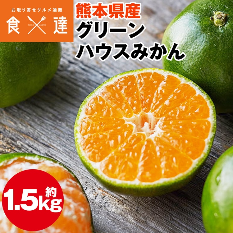みかん グリーン ハウスみかん 1.5kg 熊本県産 ミカン 蜜柑 贈答 ギフト 贈り物 産直 冷蔵便 同梱不可 指定日不可