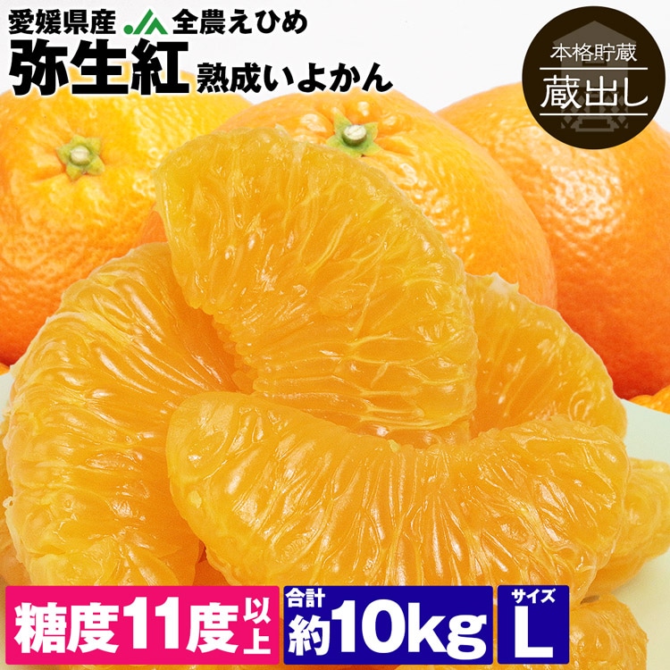 伊予柑 10kg 弥生紅 いよかん Lサイズ 熟成 蔵出し 愛媛県産 JA全農えひめ やよいべに 柑橘 みかん 同梱不可 指定日不可