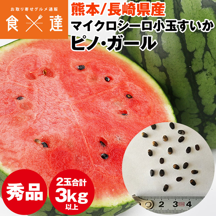すいか 小玉 ピノ・ガール マイクロシード 2玉 合計3kg以上 秀 Lサイズ以上 熊本県産 長崎県産 スイカ 西瓜 ピノガール 常温便 同梱不可 指定日不可