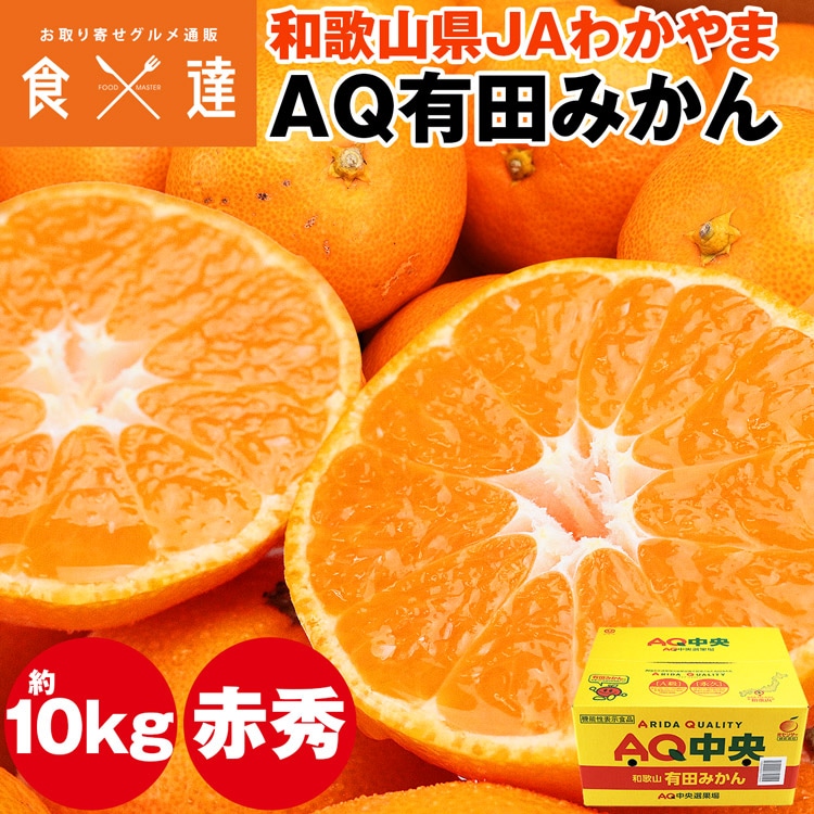 有田みかん 10kg 和歌山県産 赤秀品 74~126玉程度 S/M/Lサイズ JAわかやま 高糖度 常温便 同梱不可 指定日不可 ミカン 蜜柑