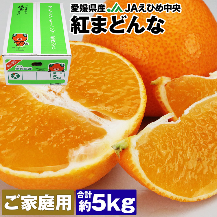 紅まどんな 5kg 愛媛県産 ご家庭用 17~31玉程度 M~3Lサイズおまかせ 良品以上 みかん JAえひめ中央 常温便 同梱不可 指定日不可 ミカン 蜜柑 柑橘