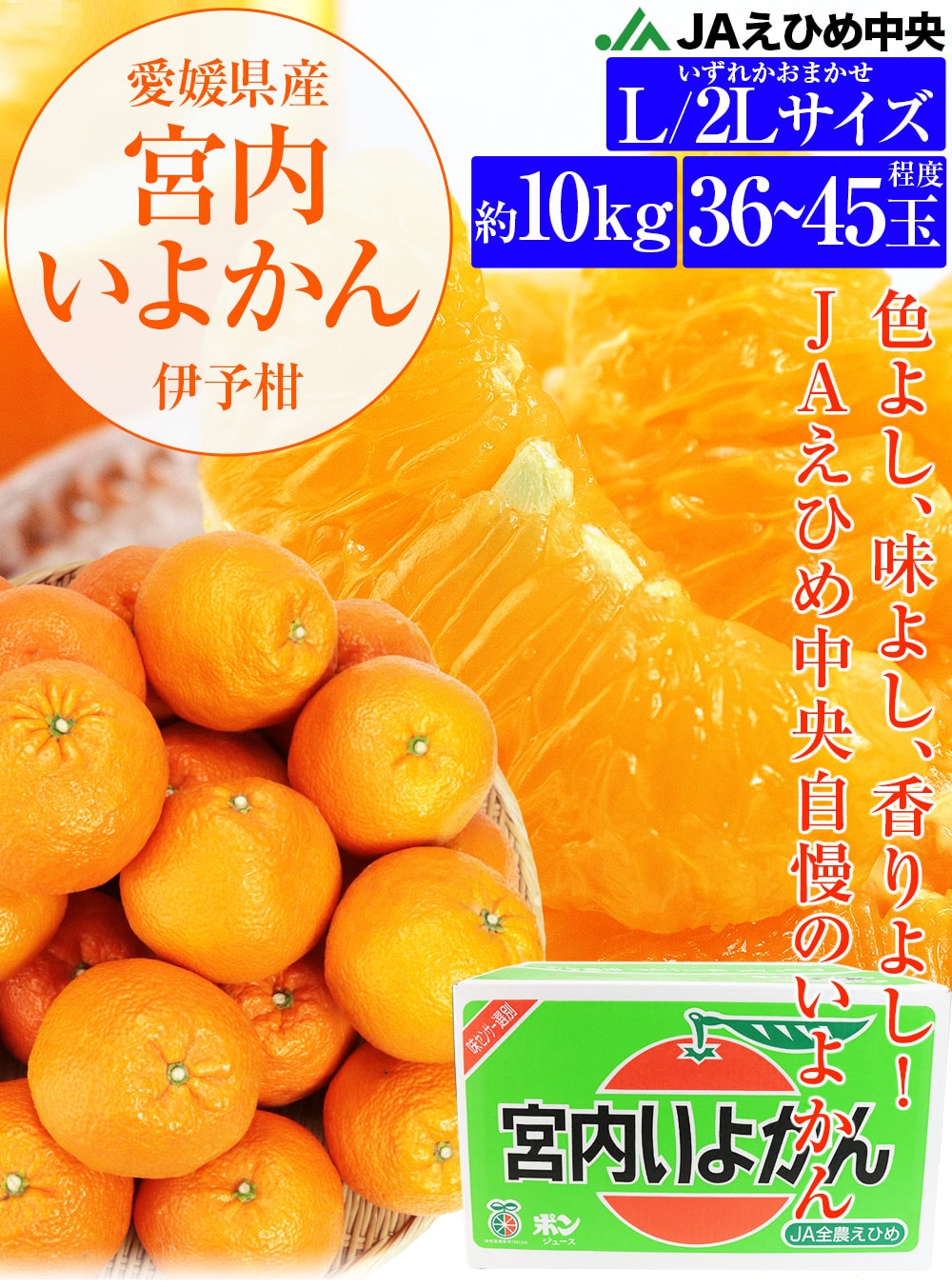 愛媛県中島産 宮内伊予柑 ※訳あり １０キロ - 果物