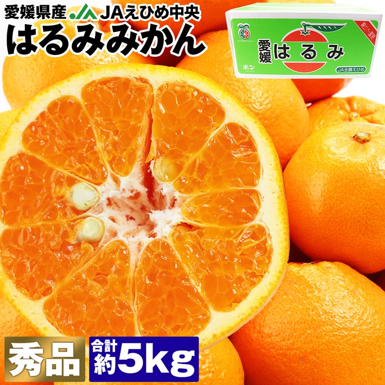 はるみ みかん 5kg 愛媛県産 JAえひめ中央 秀品 青秀 22～36玉程度 M/L/2Lサイズおまかせ 柑橘 常温便 同梱不可 指定日不可