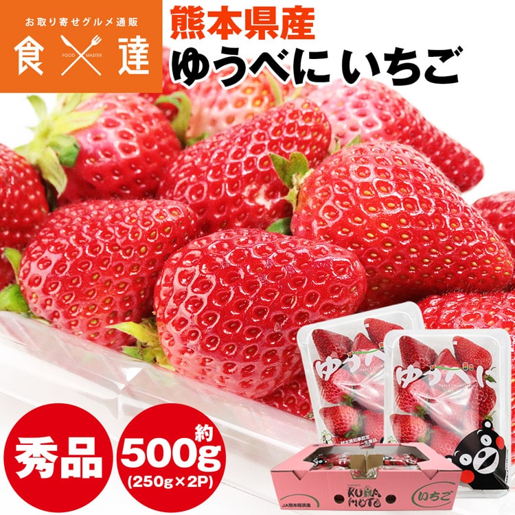 ゆうべに いちご 熊本県産 2パック 約500g (1パック約250g×2) 秀品 3Lサイズ イチゴ 苺 冷蔵便 同梱不可 指定日不可