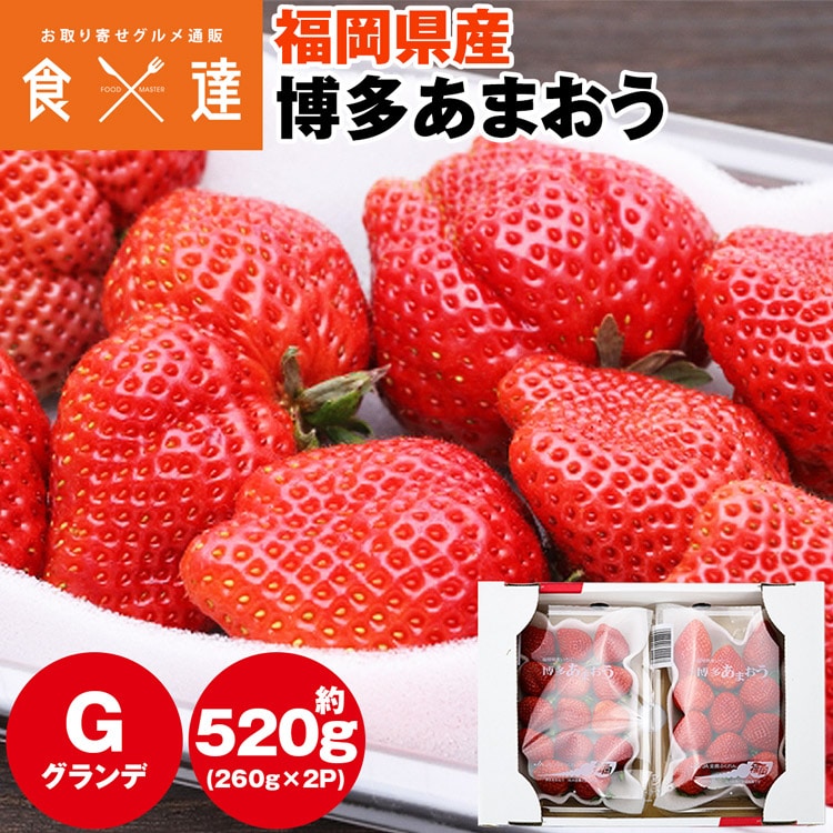 あまおう いちご 福岡 ご家庭用 G 2パック 約520g (1パック約260g) 博多あまおう グランデ イチゴ 苺 冷蔵便 同梱不可 指定日不可