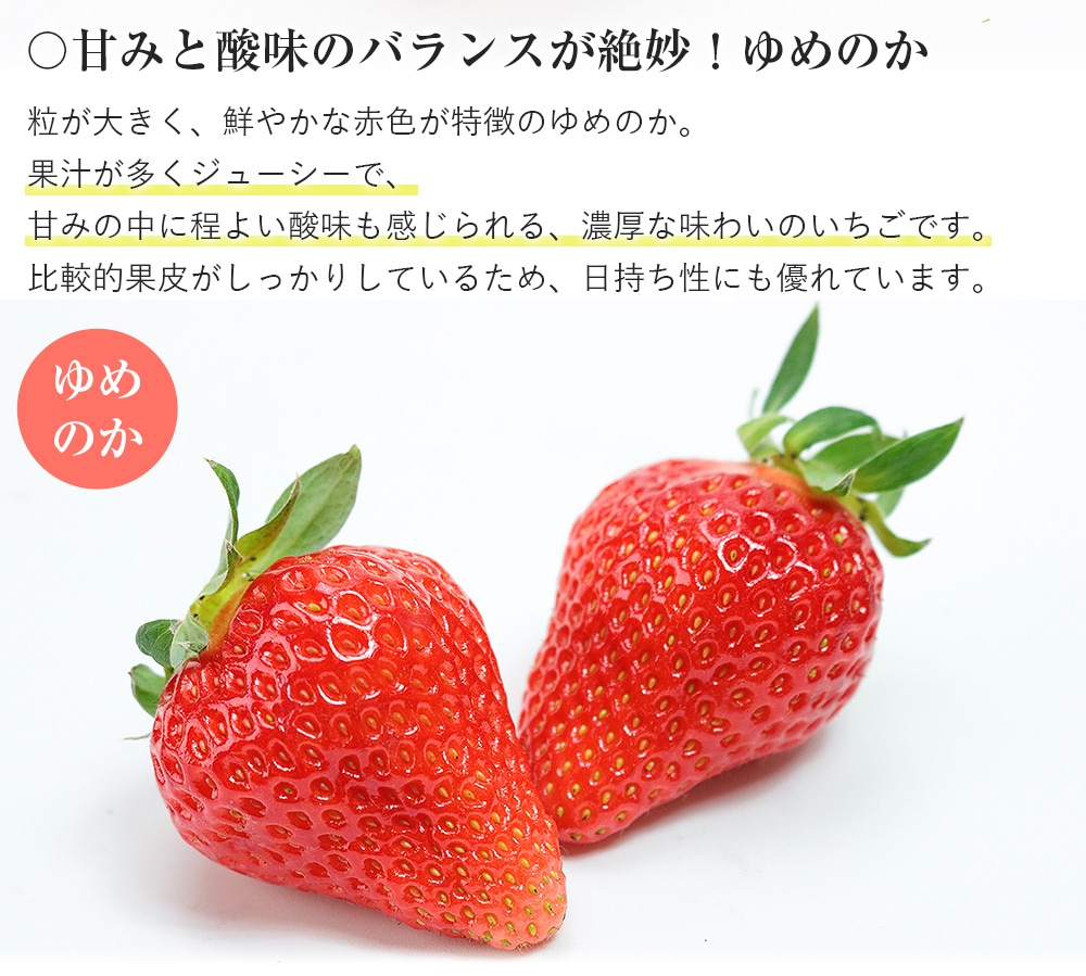 長崎いちご 長崎県産 4パック 約1kg (1パック約250g×4) ゆめのか 恋みのり 品種おまかせ 秀品 L/2L イチゴ 苺 冷蔵便 同梱不可  指定日不可