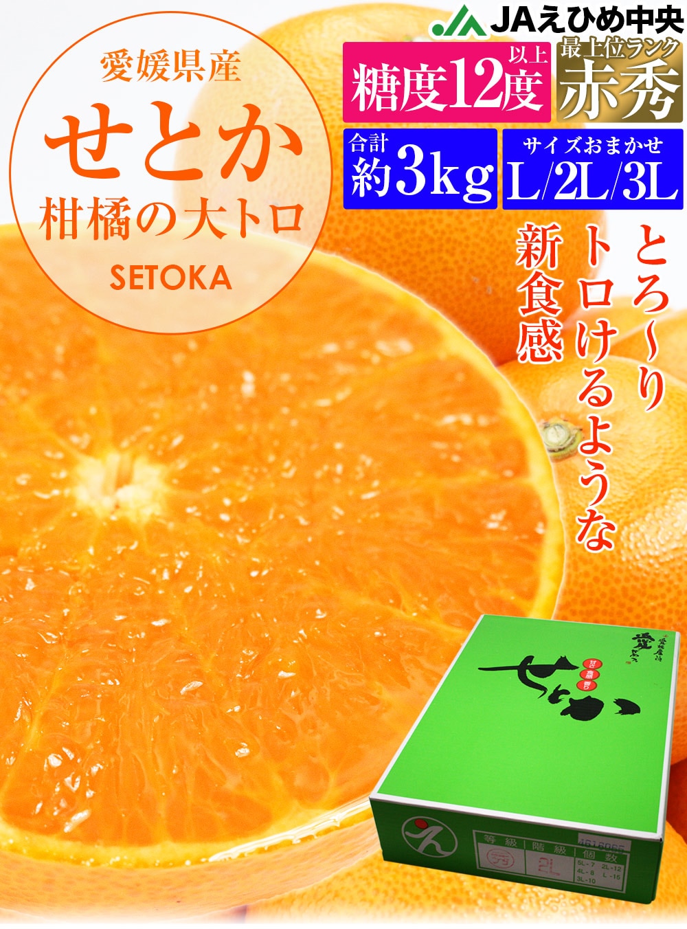 特売格安 柑橘の大トロ！！愛媛県産【せとか】赤秀品 4Lサイズ 5kg - 食品