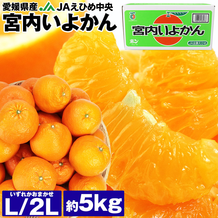 伊予柑 宮内いよかん 5kg 愛媛県産 JAえひめ中央 2L/Lサイズいずれかおまかせ 17～23玉程度 柑橘 常温便 同梱不可 指定日不可