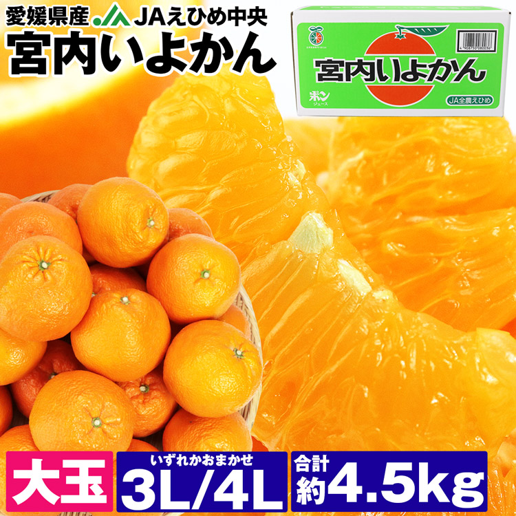 伊予柑 宮内いよかん 4.5kg 愛媛県産 JAえひめ中央 大玉 3L/4Lサイズおまかせ 11～16玉程度 柑橘 常温便 同梱不可 指定日不可